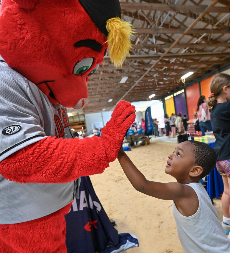 385_FF_2676095_1741135456_5