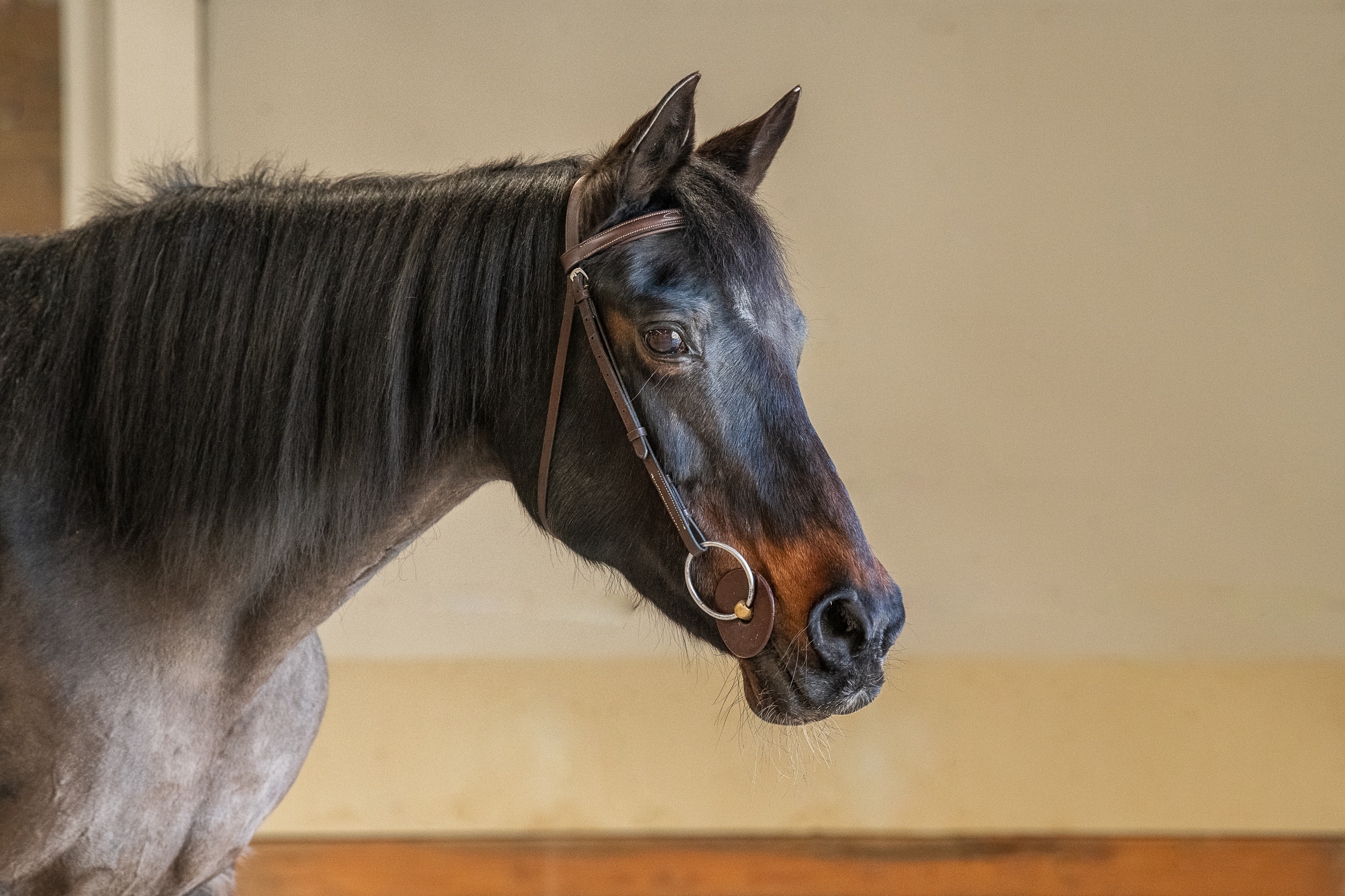 Ellen_Jackson_Copyright_2025-25